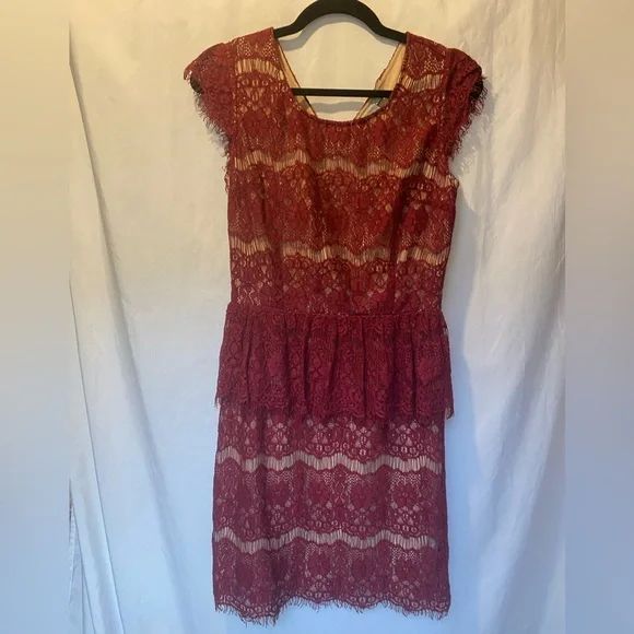 Anthropologie Elsa Peplum Dress Burgundy Lace Size SMALL - Picture 3 of 12